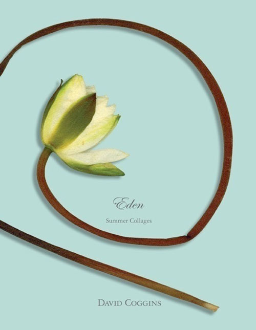 <em>Eden Summer Collages</em>